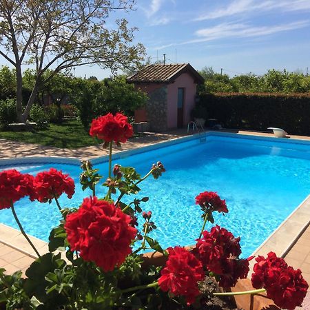 Il Giardino Segreto Bed & Breakfast ทรัปปิเตลโล ภายนอก รูปภาพ