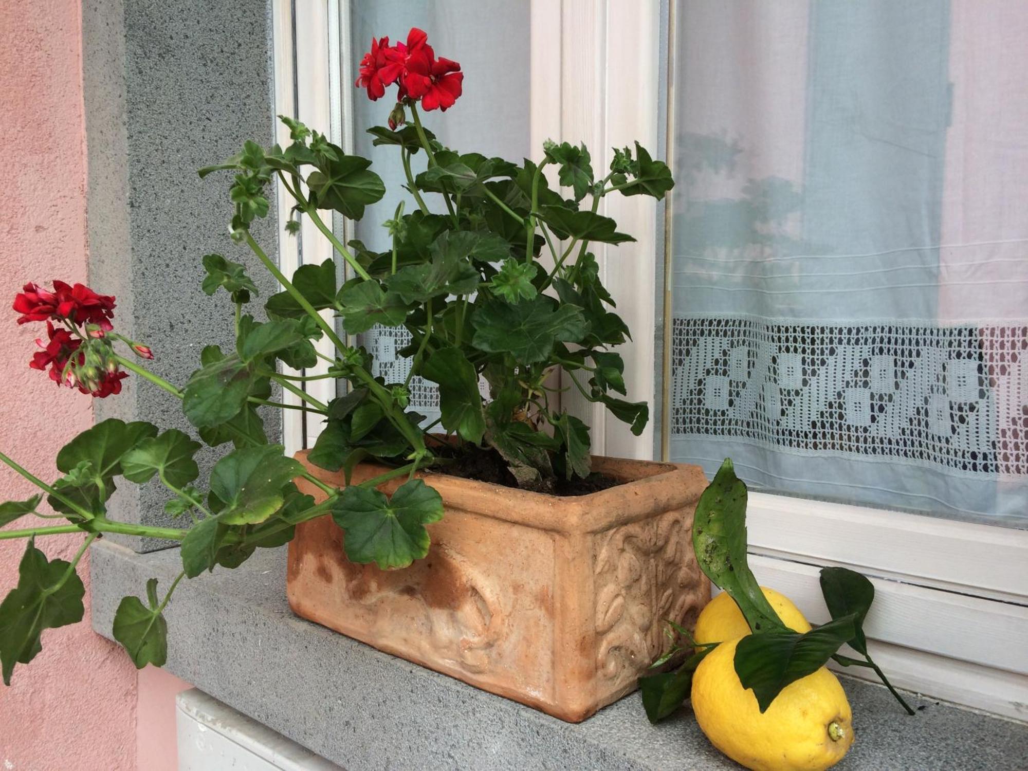 Il Giardino Segreto Bed & Breakfast ทรัปปิเตลโล ภายนอก รูปภาพ