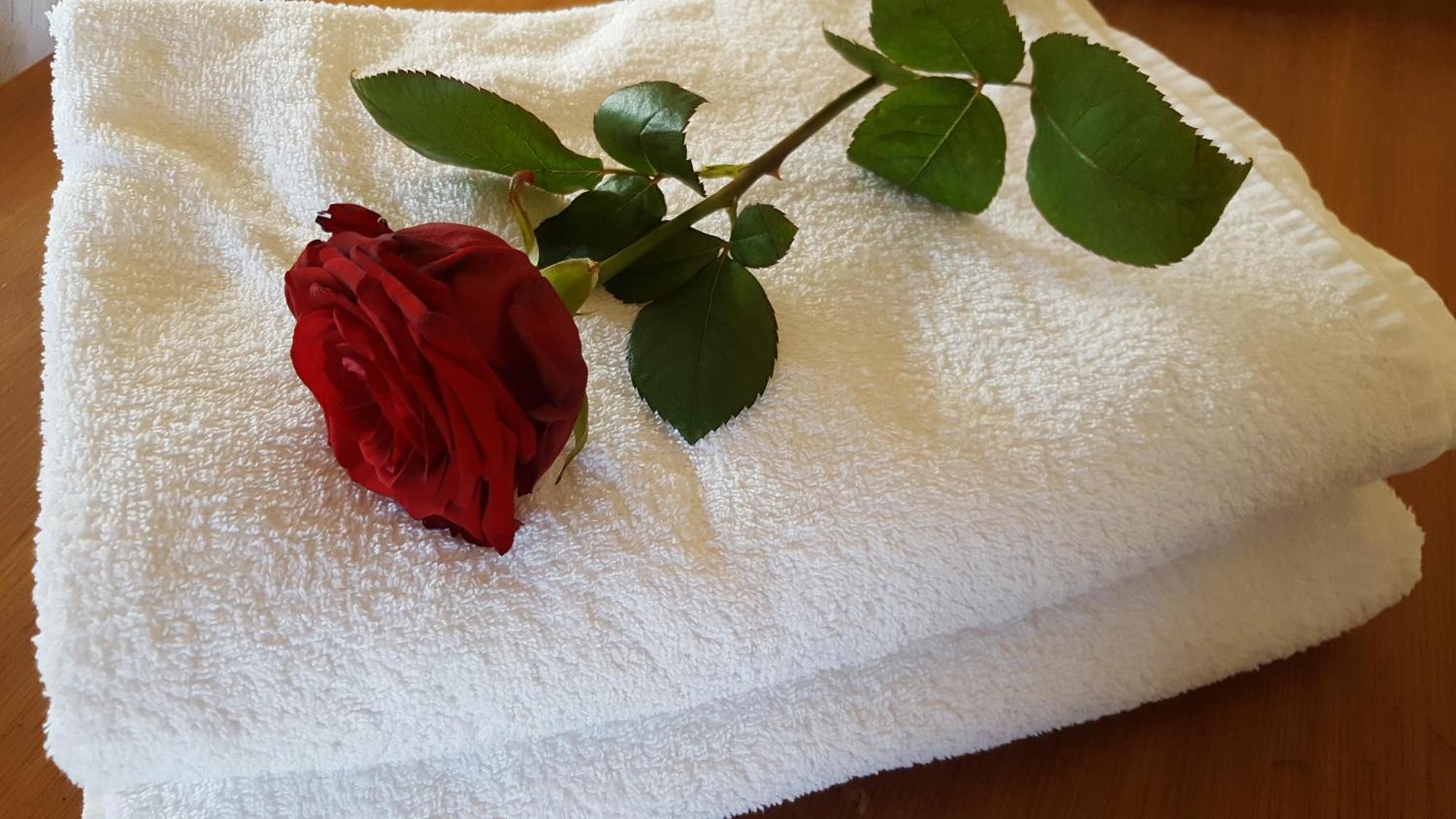 Il Giardino Segreto Bed & Breakfast ทรัปปิเตลโล ภายนอก รูปภาพ